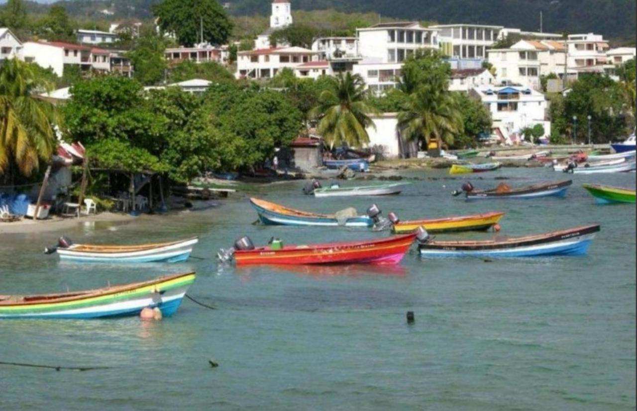 T2 Les Pieds Dans L'Eau Face A La Mer Des Caraibes Sainte Luce - Trois Rivieres Exterior photo